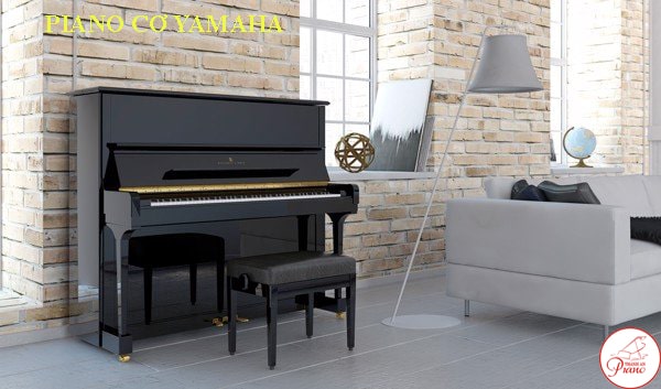 Mua đàn Piano Cơ