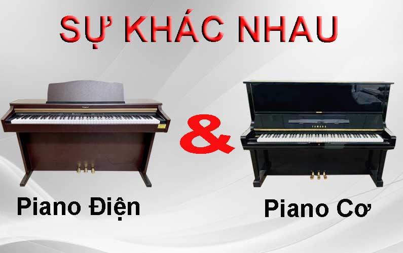 PIANO CƠ VÀ PIANO ĐIỆN KHÁC NHAU THẾ NÀO