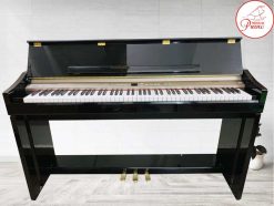 mau phong nen 1 3 Recovered Recovered Recovered Recovered 1