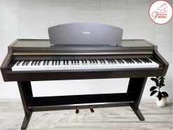 CLP920