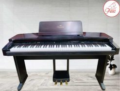 CVP65