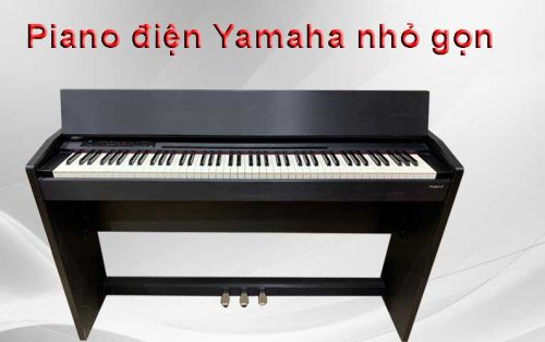 nho gon