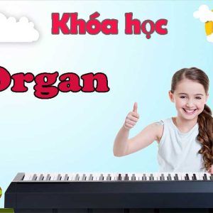 organ