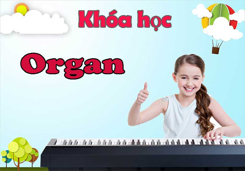 Khóa Học Organ