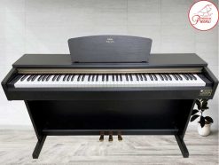 ydp61