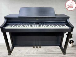 HP 207