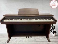 wp500