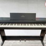 CLP360