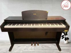 YDP121