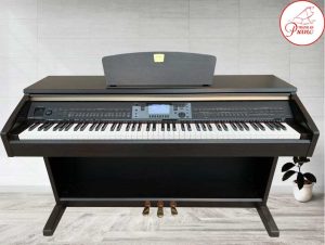 cvp501