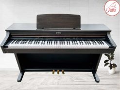 pn250