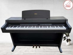 ydp301