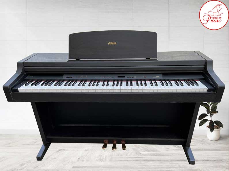 ydp301