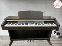 ydp223 1
