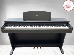 ydp88ii