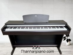 YDP141
