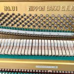 553e12bec8dd14834dcc